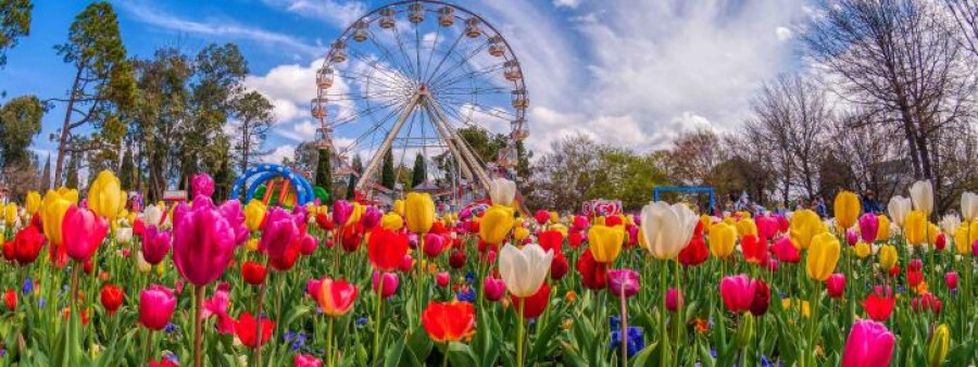  Spring is in full swing here in Australia, and there's no shortage of things going on all across the country. Here's our top activities you can't miss!