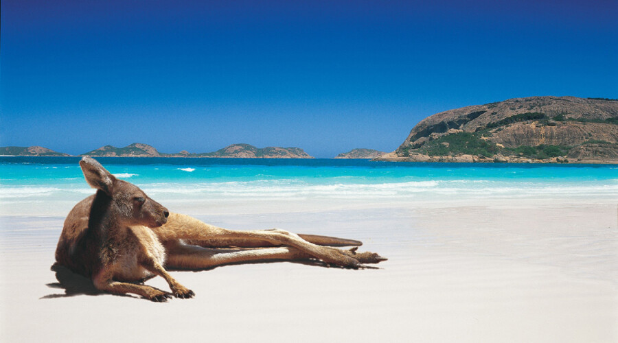Our guide to unmissable activities happening all over Australia this Summer! See Australia on a budget with $1/day Imoova campervan relocations. 